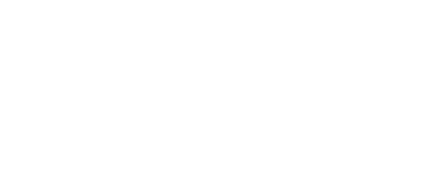 迪赞文化传播 Logo